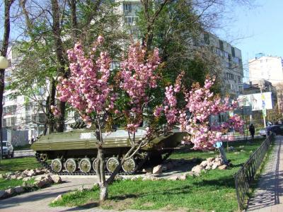 Прикрепленное изображение: vm.jpg